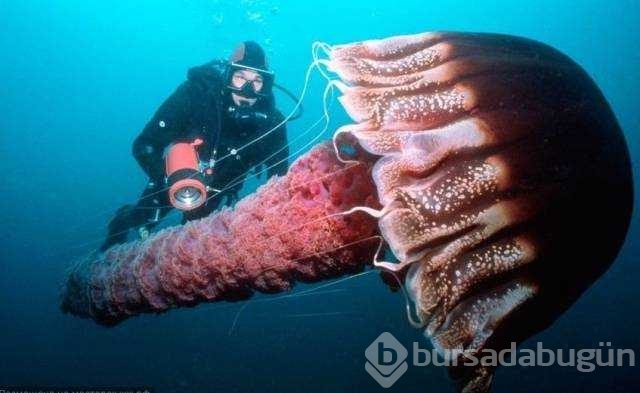 İşte günün en çok paylaşılan fotoğrafları
