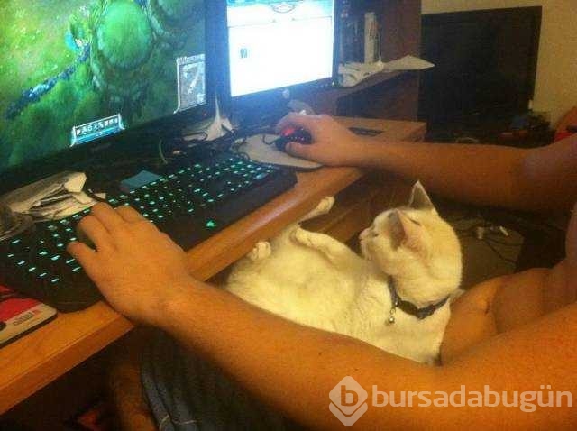 İşte günün en çok paylaşılan fotoğrafları
