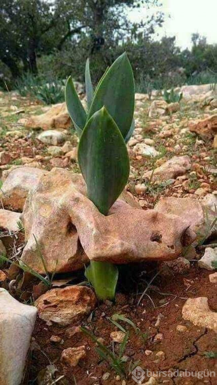 İşte günün en çok paylaşılan fotoğrafları
