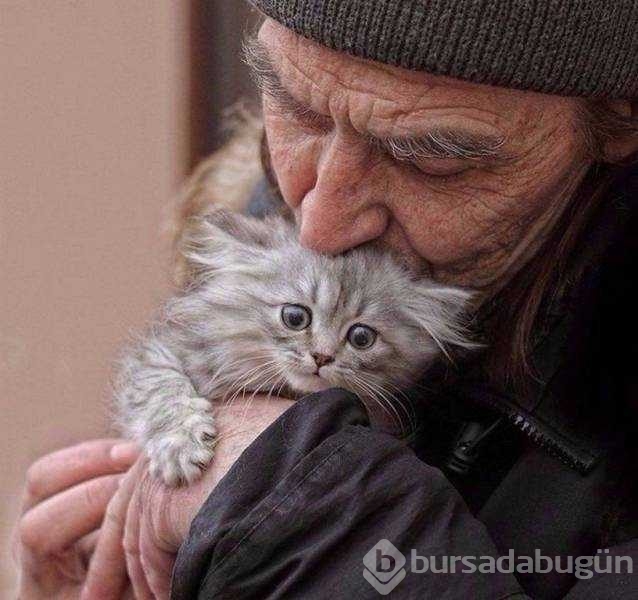 İşte günün en çok paylaşılan fotoğrafları
