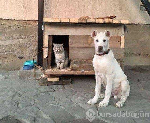 İşte günün en çok paylaşılan fotoğrafları
