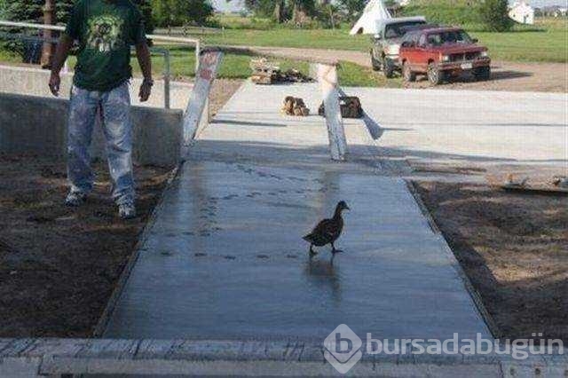 İşte günün en çok paylaşılan fotoğrafları
