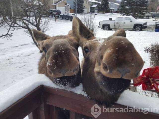 İşte günün en çok paylaşılan fotoğrafları
