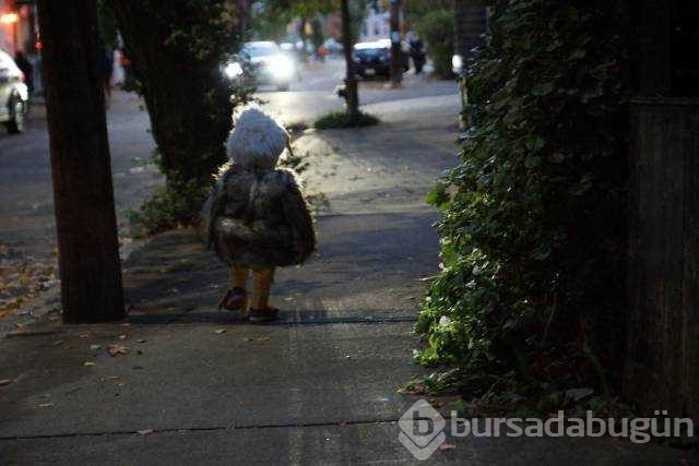 İşte günün en çok paylaşılan fotoğrafları
