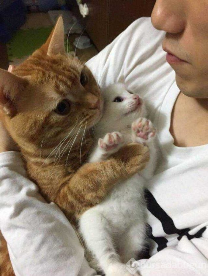İşte günün en çok paylaşılan fotoğrafları
