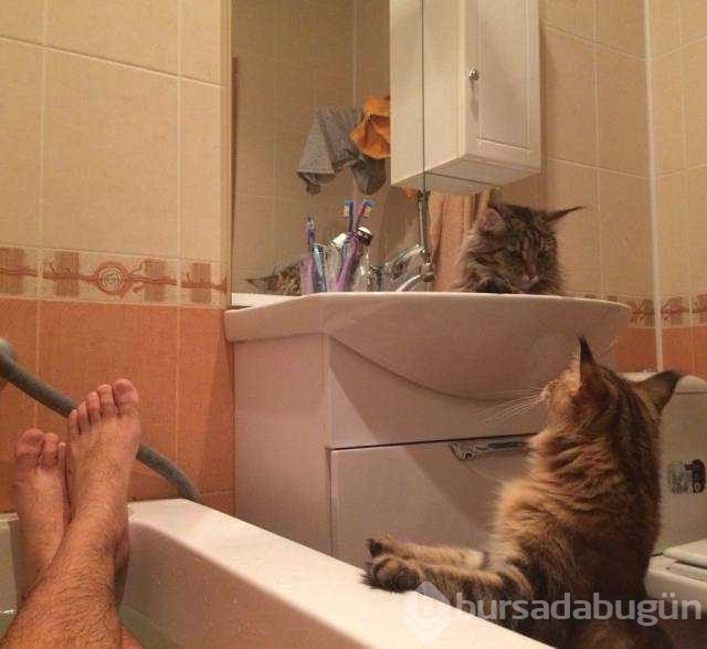 İşte günün en çok paylaşılan fotoğrafları
