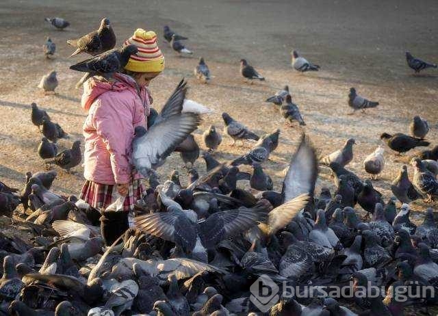 İşte günün en çok paylaşılan fotoğrafları
