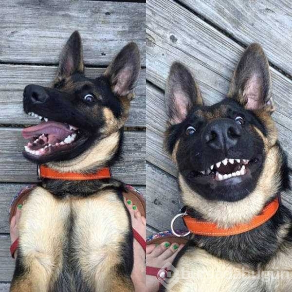 İşte günün en çok paylaşılan fotoğrafları

