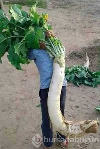 İşte günün en çok paylaşılan fotoğrafları
