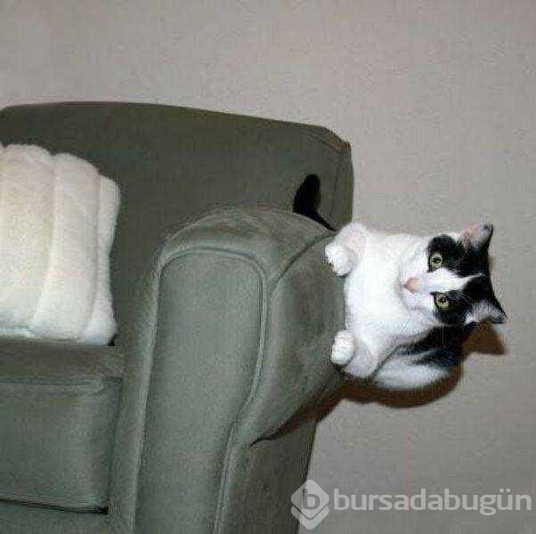 İşte günün en çok paylaşılan fotoğrafları
