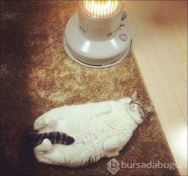 İşte günün en çok paylaşılan fotoğrafları
