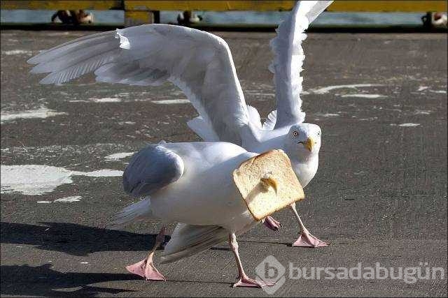 İşte günün en çok paylaşılan fotoğrafları

