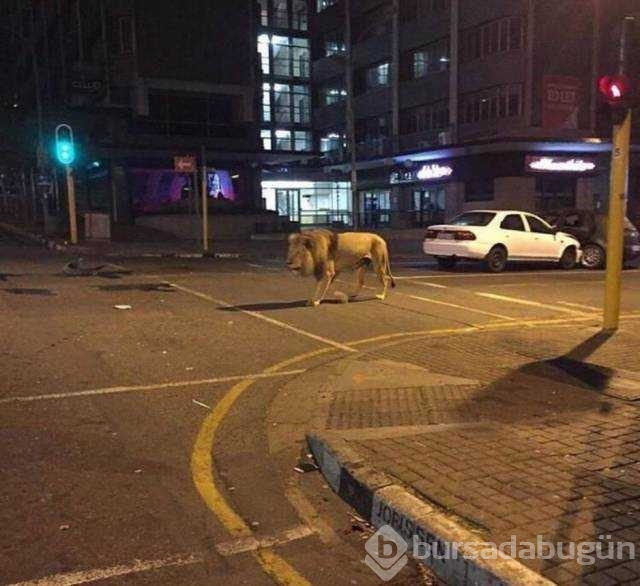 İşte günün en çok paylaşılan fotoğrafları
