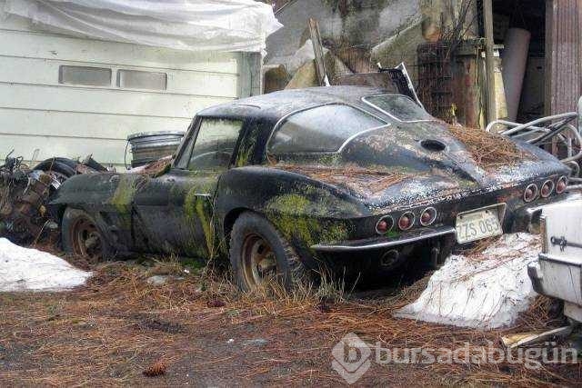 İşte günün en çok paylaşılan fotoğrafları
