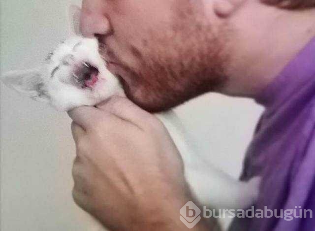İşte günün en çok paylaşılan fotoğrafları
