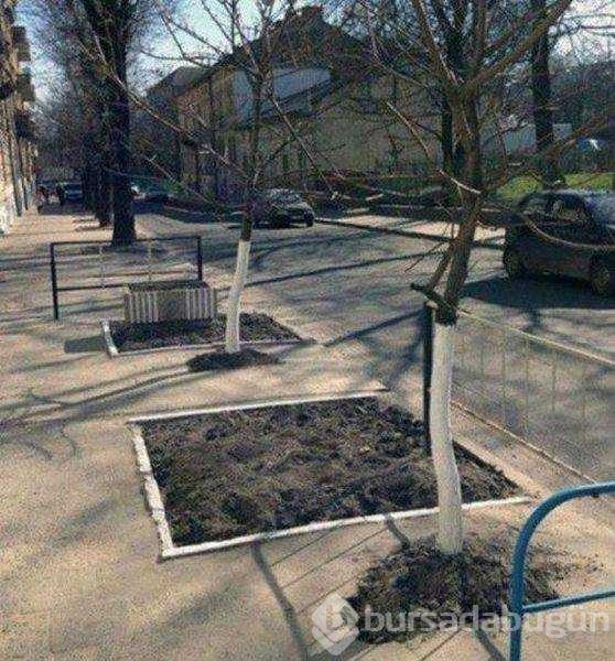 İşte günün en çok paylaşılan fotoğrafları
