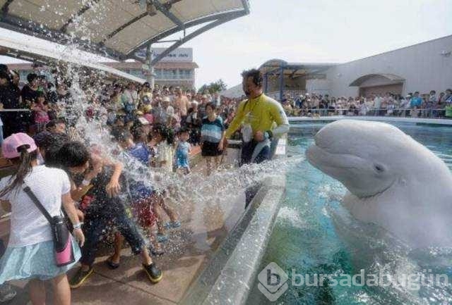 İşte günün en çok paylaşılan fotoğrafları
