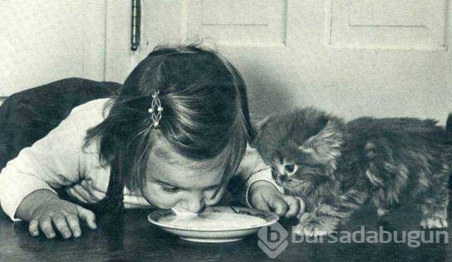 İşte günün en çok paylaşılan fotoğrafları
