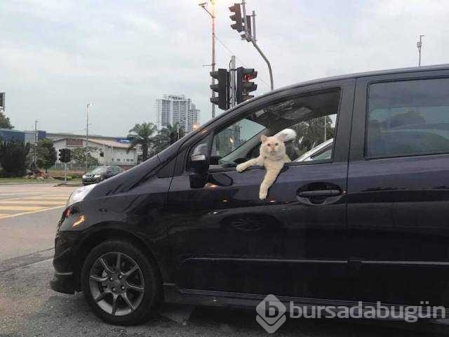 İşte günün en çok paylaşılan fotoğrafları
