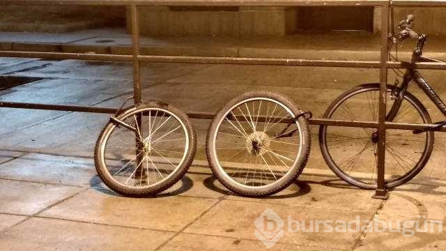 İşte günün en çok paylaşılan fotoğrafları
