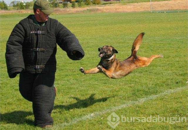 İşte günün en çok paylaşılan fotoğrafları
