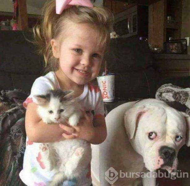 İşte günün en çok paylaşılan fotoğrafları
