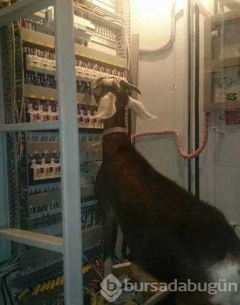 İşte günün en çok paylaşılan fotoğrafları

