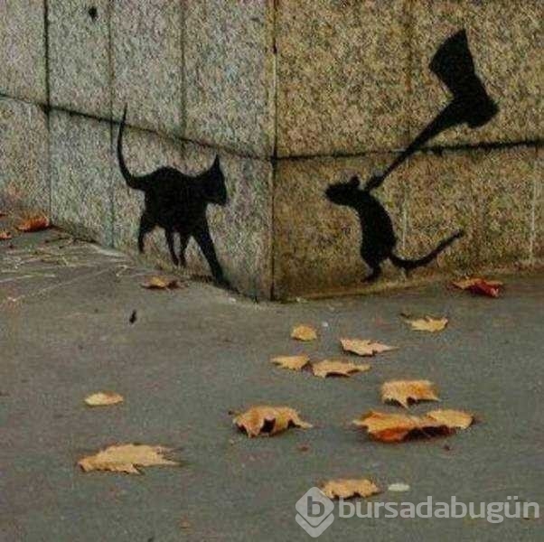 Günün en çok paylaşılan fotoğrafları