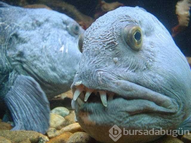 Günün en çok paylaşılan fotoğrafları