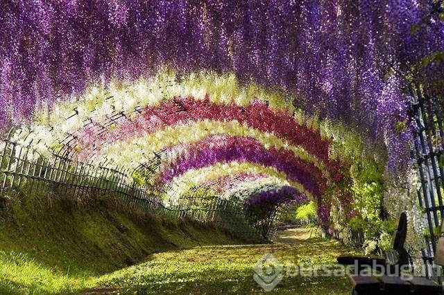 Günün en çok paylaşılan fotoğrafları