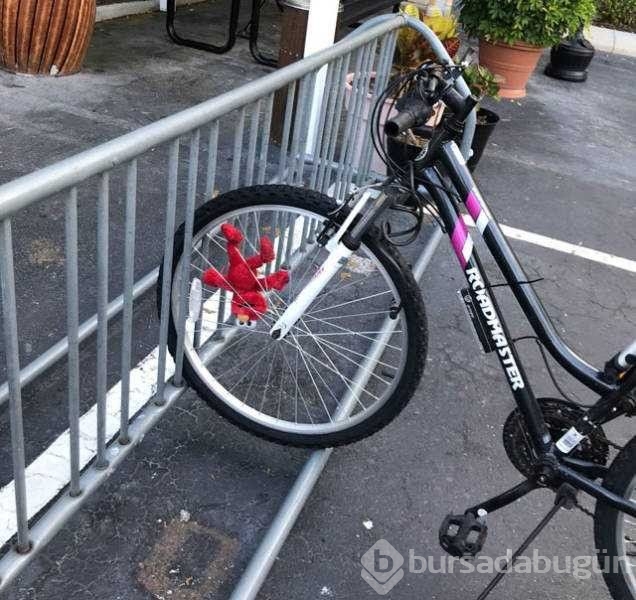 Günün en çok paylaşılan fotoğrafları