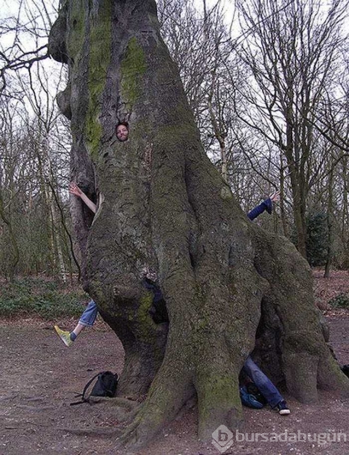 Günün en çok paylaşılan fotoğrafları