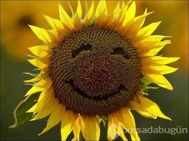 Günün en çok paylaşılan fotoğrafları