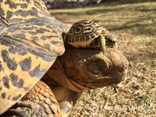 Günün en çok paylaşılan fotoğrafları