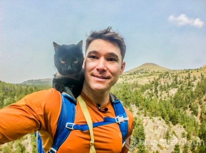 İnternetin yeni fenomeni: Maceracı kedi Simon
