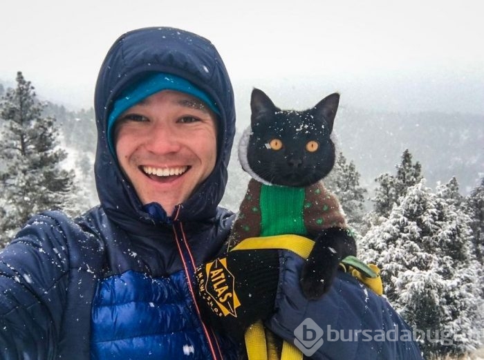 İnternetin yeni fenomeni: Maceracı kedi Simon
