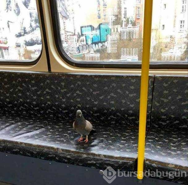 Günün en çok paylaşılan fotoğrafları