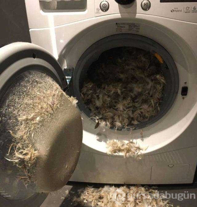 Günün en çok paylaşılan fotoğrafları