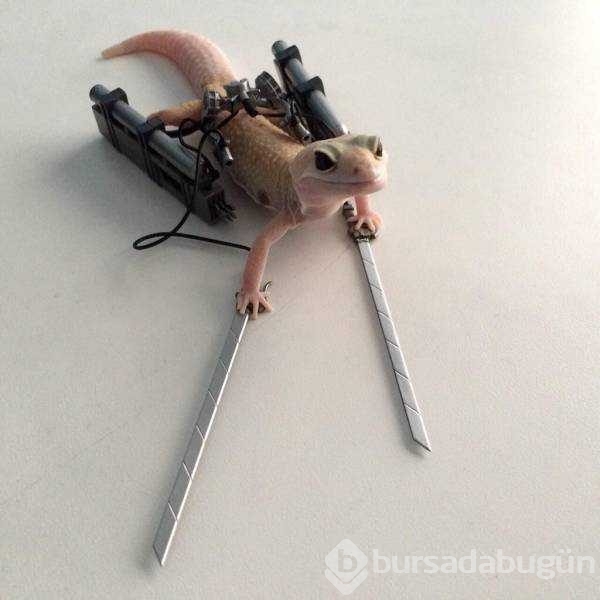 Günün en çok paylaşılan fotoğrafları