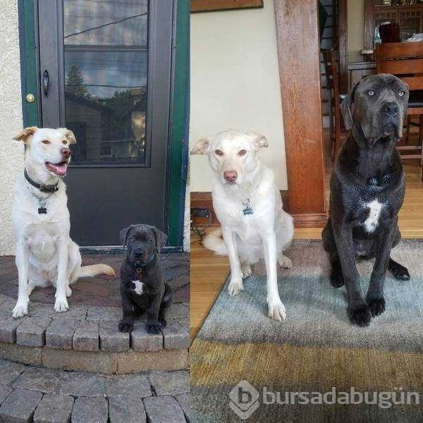 Günün en çok paylaşılan fotoğrafları
