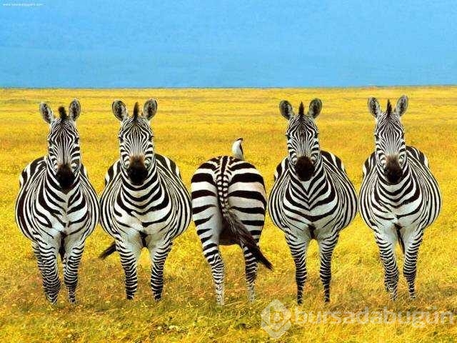Günün en çok paylaşılan fotoğrafları