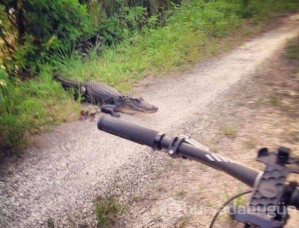 Saniyeler sonra ne oldu?