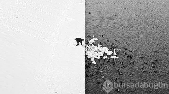 İlk bakışta kimse farkedemiyor! Photoshopsuz fotoğraflar