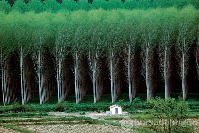 İlk bakışta kimse farkedemiyor! Photoshopsuz fotoğraflar