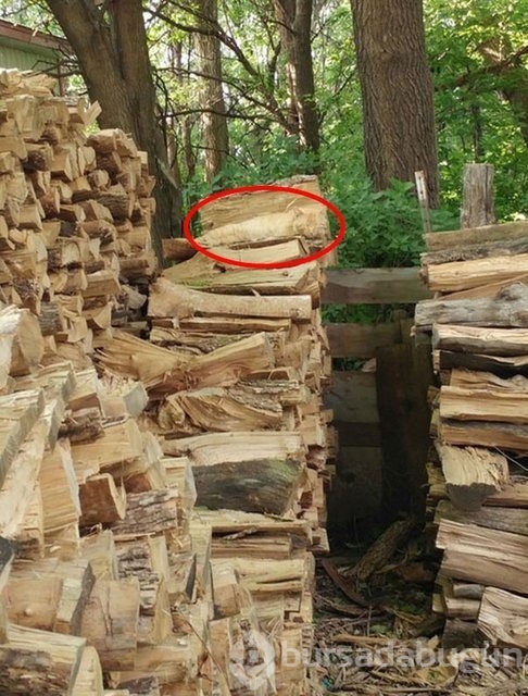 İlk bakışta kimse farkedemiyor! Photoshopsuz fotoğraflar