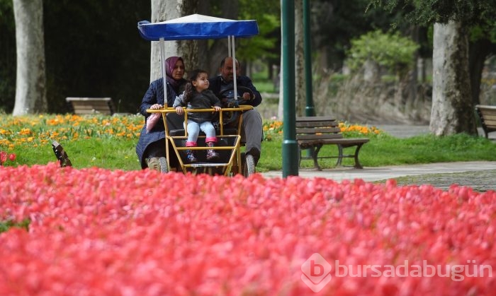 Bahar çiçekleri Bursa'yı sardı
