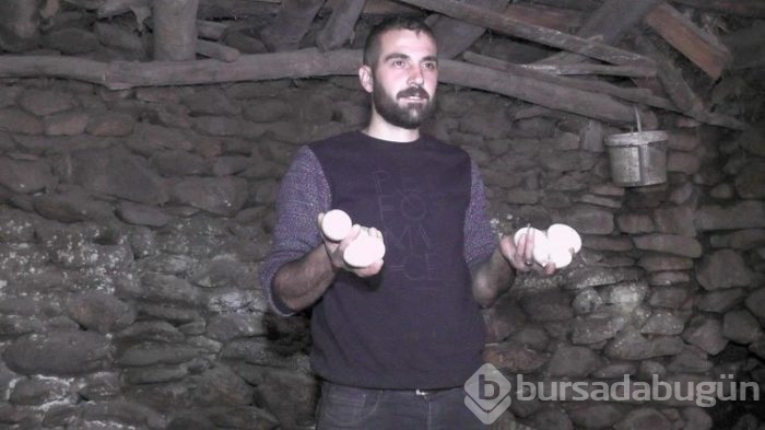 Evini satarak kaz çiftliği kurdu