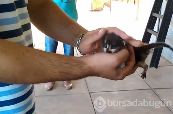 Çıkanlar şoke etti
