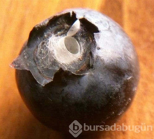 Çıkanlar şoke etti
