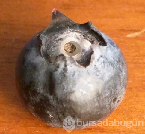 Çıkanlar şoke etti
